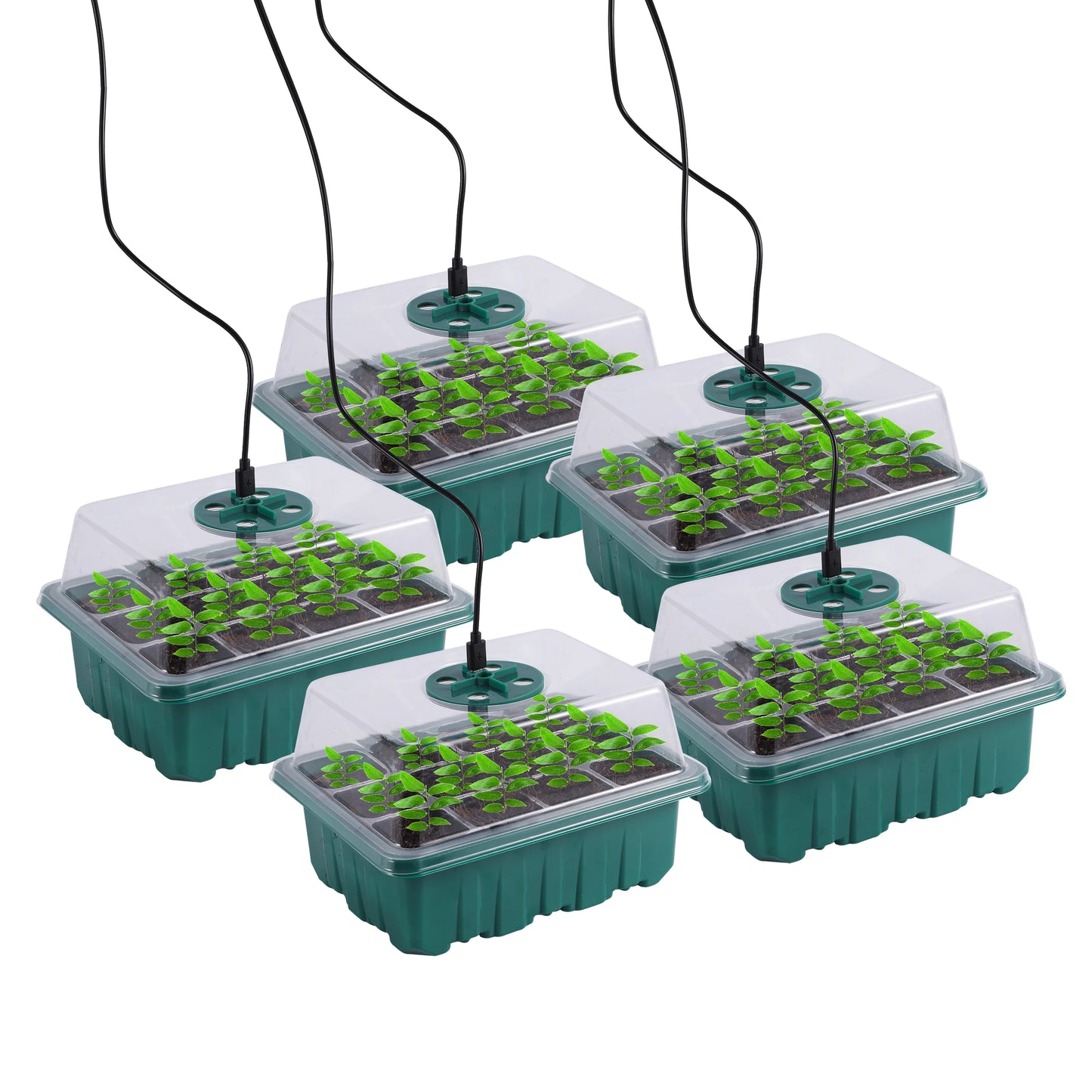 Premium Indoor Seed Starter Kit™