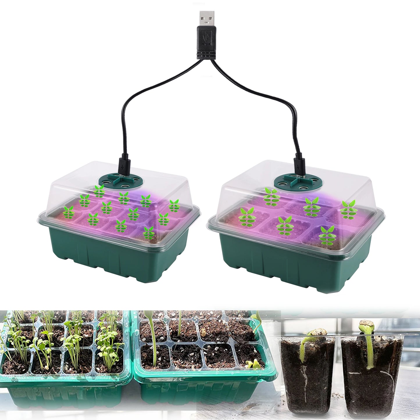 Premium Indoor Seed Starter Kit™